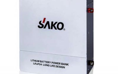 BATERIA LITIO LIFEPO4 51,2 V 100A